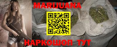 стаф Новодвинск