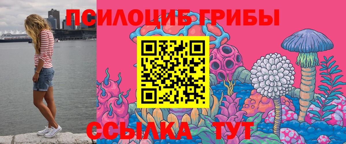 Галлюциногенные грибы MAGIC MUSHROOMS  Вход с VPN  Советский 