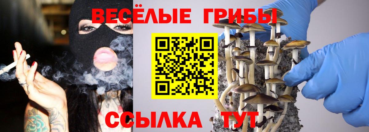 Галлюциногенные грибы MAGIC MUSHROOMS Советский